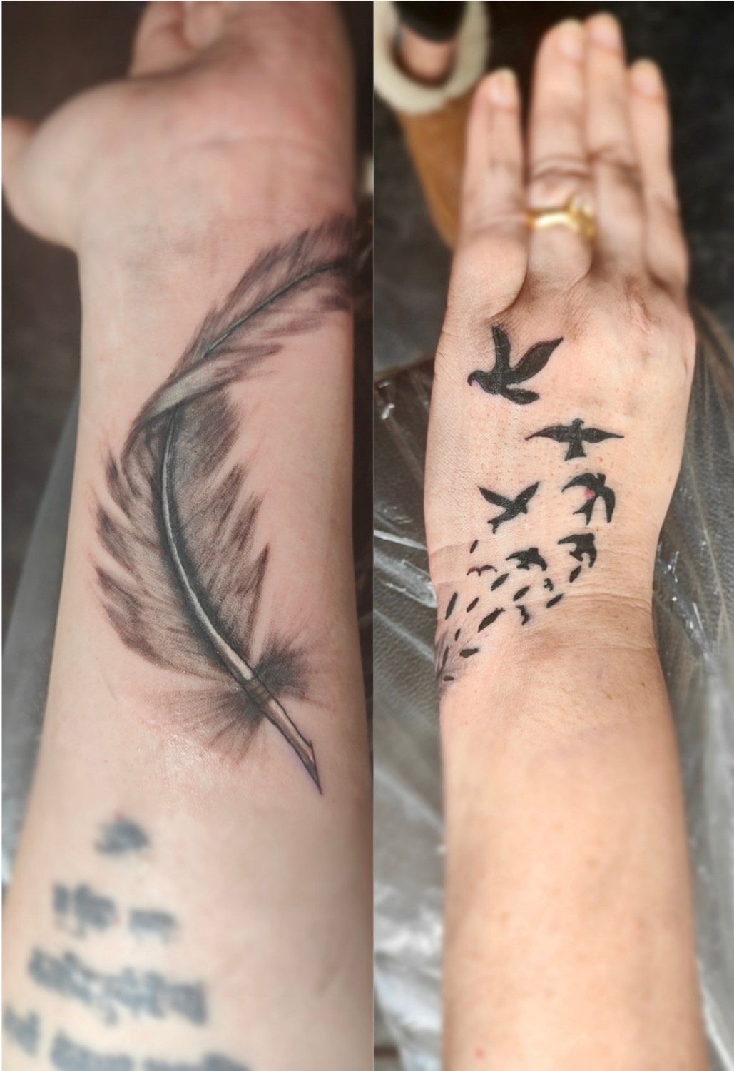 Feder und Vögel